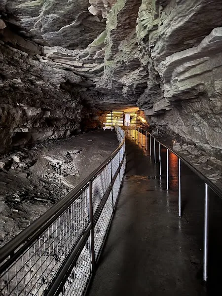 Mammoth Cave Campground