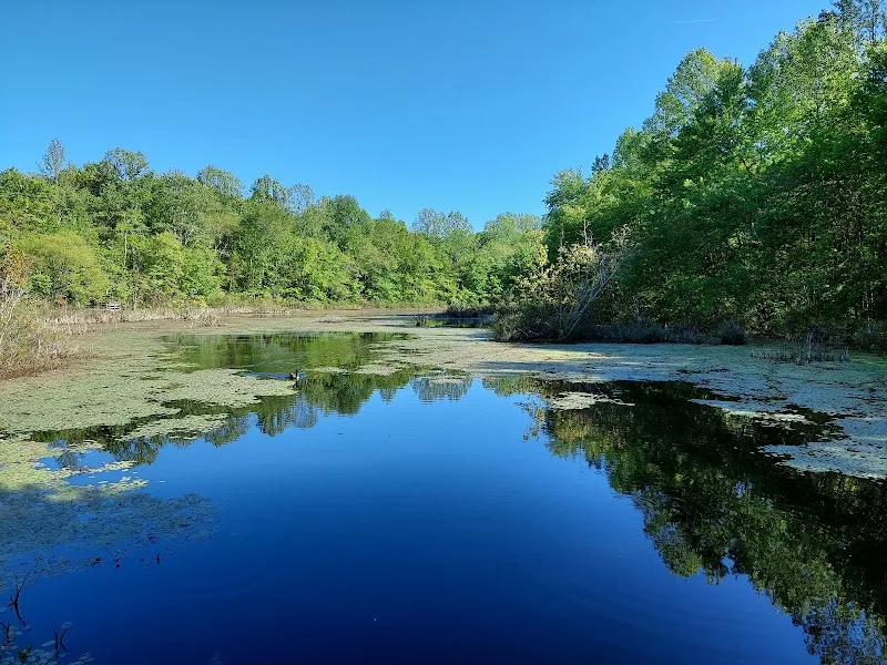 Sloan's Crossing Pond Walk