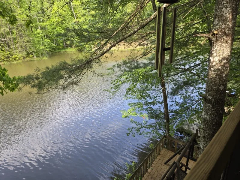Bear Track Lake Cabins