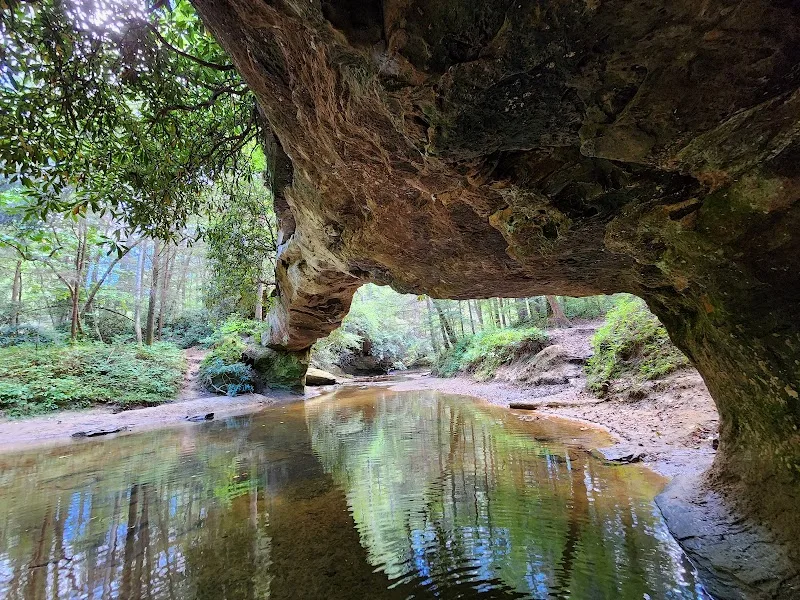 Rock Bridge